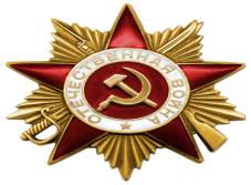 Орден Отечественной войны I степени, медаль «за мужество, стойкость, отвагу и героизм», проявленные в боях за Родину при освобождении Таврии от немецко-фашистских захватчиков в 1943г.