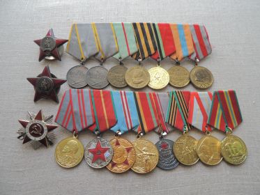 Прадед награжден двумя Орденами Красной Звезды, двумя медалями За боевые заслуги, а также многими медалями и благодарностями Маршала Сталина.