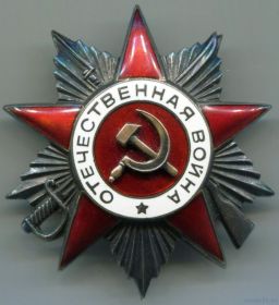 Орден Отечественной войны IIстепени.