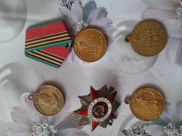 За победу над Германией, за взятие Кенигсберга,  медаль Жукова, 40 лет победы, в память 250летия Ленинграда, орден Отечественной войны 2 степени.