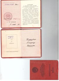 Орден Великой Отечественной Войны 2 степени., медаль за отвагу.