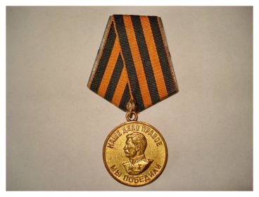 Медаль за Победу над Германией