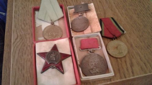 орден  Красной звезды, медаль за отвагу, за оборону Ленинграда, за победу над Германией