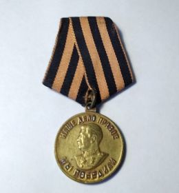 Медаль «За победу над Германией в Великой Отечественной войне 1941-1945 гг.»