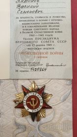 орден отечественной войны 1 степени