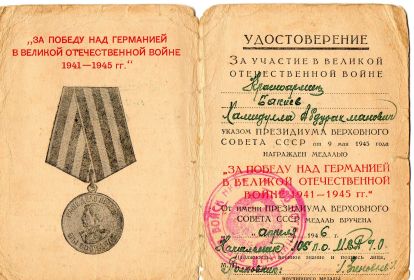Медаль за победу над Германией