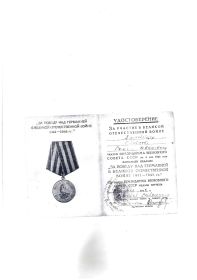"За победу над Германией в Великой Отечественной войне 1941-1945гг"