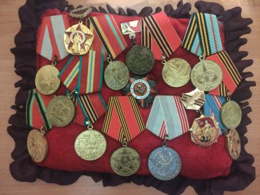 орден Отечественной войны, "За отвагу", "За боевые заслуги", "За оборону Кавказа", "За взятие Варшавы"