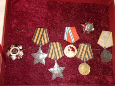 Орден красной звёзды, ордена Славы 2 и 3 степени, медаль За боевые заслуги, медаль За победу над Германией