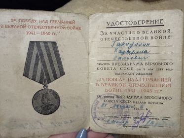 Медаль «За победу в ВОВ»; Медаль «20лет ВОВ»; Знак «25 лет победы в ВОВ»; Медаль «30 лет ВОВ»; Медаль «40 лет ВОВ»; Орден «40 лет ВОВ»; Медаль «50 лет ВОВ»; Медаль «60лет ВОВ»; Медаль «70лет»