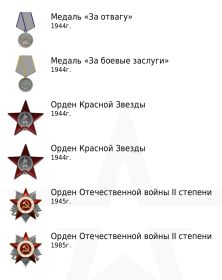 Два ордена Красной Звезды, два ордена Отечественной войны, медали «За отвагу!», «За боевые заслуги»
