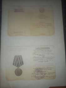 Медаль "За победу над в Великой Отечественной Войне 1941-1945 гг."