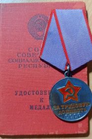 Медаль "За трудовую доблесть"