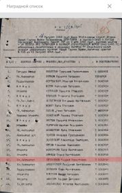 Награды: Медаль «За победу над Германией в Великой Отечественной войне 1941-1945 гг.»