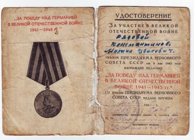 Медаль За победу над Германией