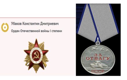 Орден Отечества войны I степени; Медаль за отвагу