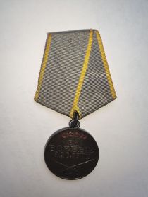 За боевые заслуги (№1486161)