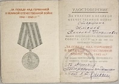 Медаль за победу над Германией