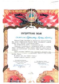 За оборону Ленинграда, За Победу над Германией