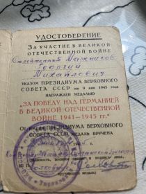 медаль «За победу над Германией»