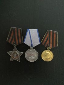 Орден Славы 3-й степени (1945г.); Медаль За Отвагу; Наше Дело Правое Мы Победили (1946г.).