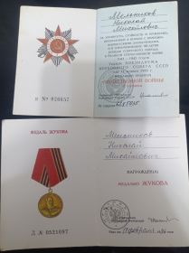 Орден Отечественной войны второй степени,медаль Жукова.