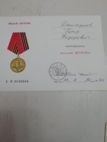 Медаль Жукова