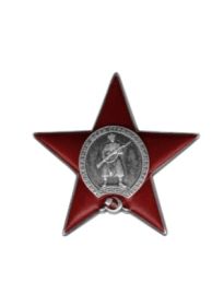 Орден Красной Звезды (2)