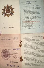 Медаль «за отвагу», орден отечественной войны 1 степени