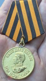 Медаль «За победу над Германией в Великой Отечественной войне 1941-  1945 гг.