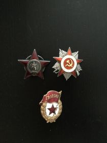 Орден Красная звезда (1943г.); Орден Отечественная война - 2-й степени (1944г.).