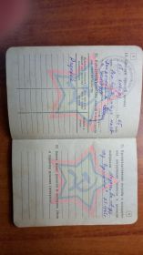 Медаль за победу над Германией