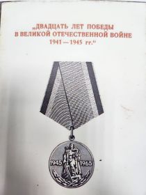 Двадцать лет Победы в Великой Отечественной войне 1941-1945 гг