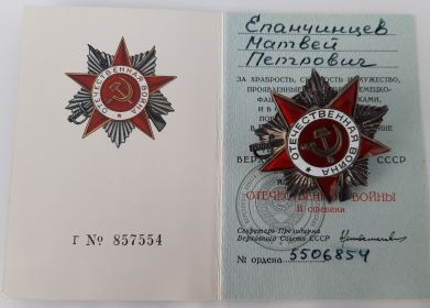 Орден Отечественной войны II степени.
