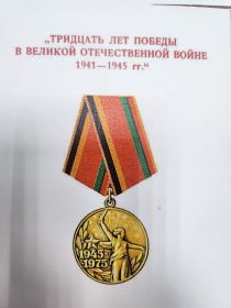 Тридцать лет Победы в Великой Отечественной войне 1941-1945 гг