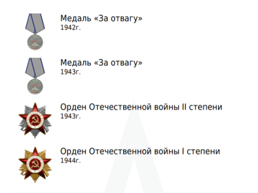 Медаль за отвагу (2), Орден Отечественной войны 1 степени, Орден Отечественной войны 2й степени.