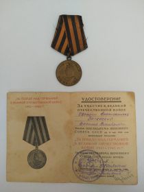 медаль «За победу над Германией в Великой Отечественной войне 1941-1945 гг.»