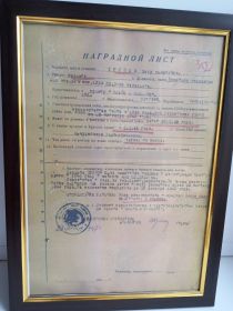 Орден славы 3й степени