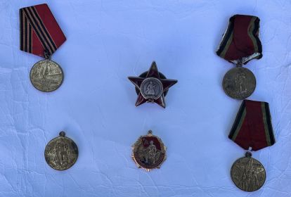 Орден Красной звезды; Медаль «За боевые заслуги»; Медаль «За победу над Германией»