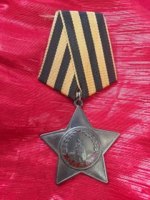 Орден «Славы» первой степени