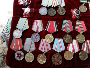 Орден Красной Звезды, медаль "За боевые заслуги", "За оборону Москвы", "За победу над Германией"