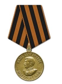 Медаль «За победу над Германией в Великой Отечественной войне 1941–1945 гг.»