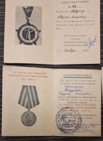Медаль «За победу над Германией в ВОВ 1941-1945 гг»