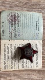 Ордер Красной звезды