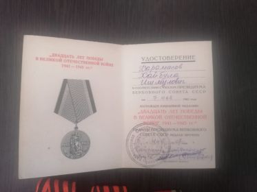 Двадцать лет Победы в Великой Отечественной Войне
