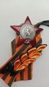 За Взятие Варшавы, за Победу над Германией, орден Красной Звезды