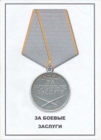 Медаль «За боевые заслуги», Медаль «За оборону Кавказа»,  Медаль «За победу над Германией в Великой Отечественной войне 1941–1945 гг.»