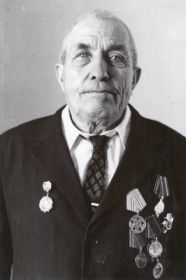 "За победу над Германией", " За оборону Кавказа", медаль Жукова и 6 юбилейных медалей