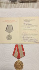20 лет Победы в Великой Отечественной войне 1941-1945гг.