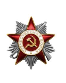 медаль: за Победу над Германией, за Отвагу, Орден Отечественной войны II степени